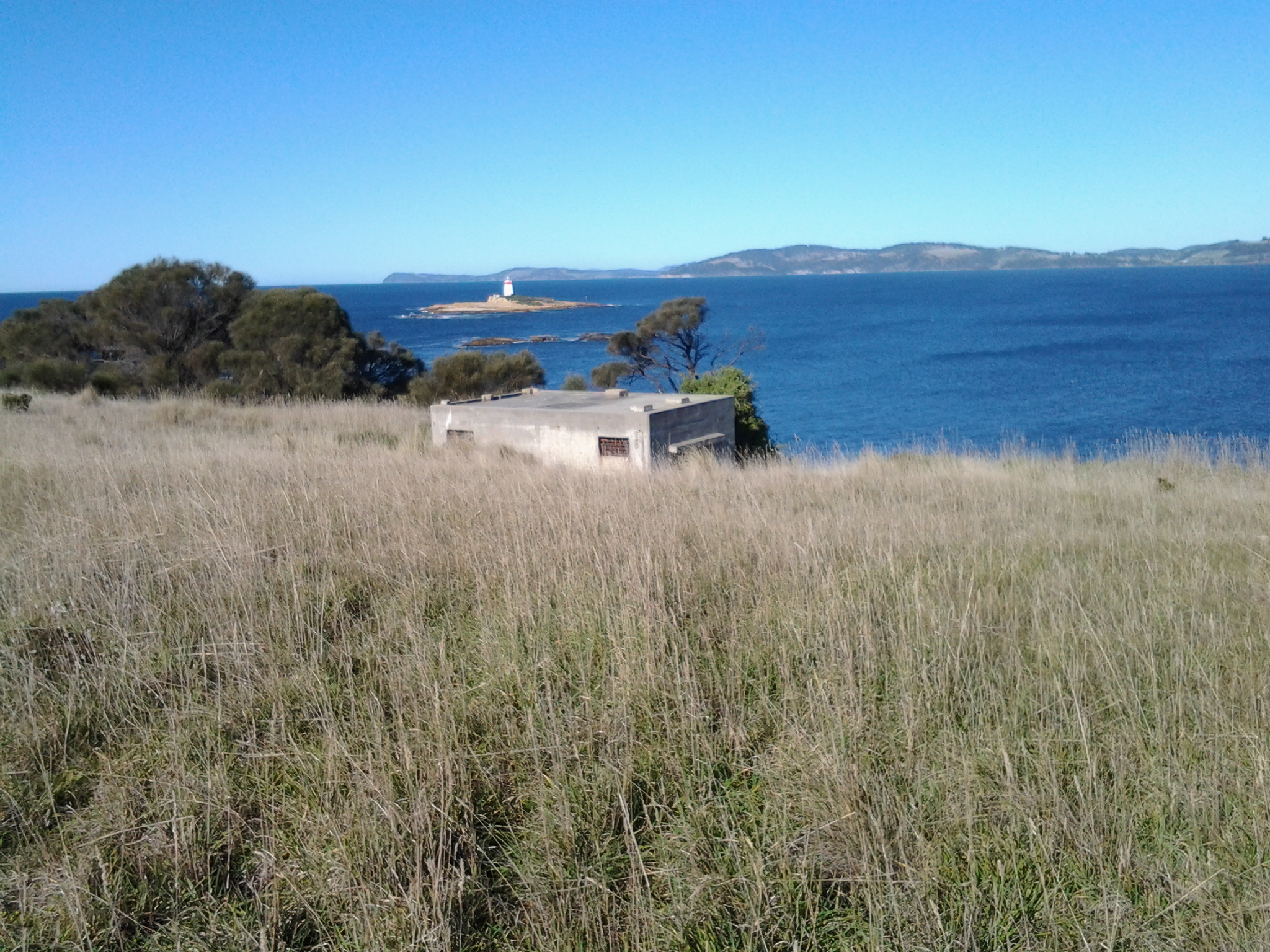 20140822_100305.jpg